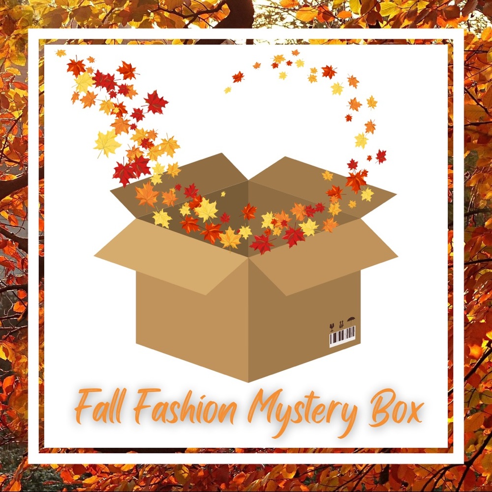 FALL FASHION MYSTERY / RESELLER BOX